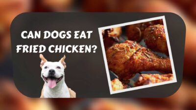 should dogs eat chicken hearts