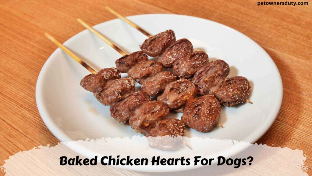 should dogs eat chicken hearts