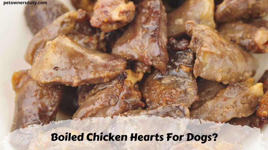 should dogs eat chicken hearts