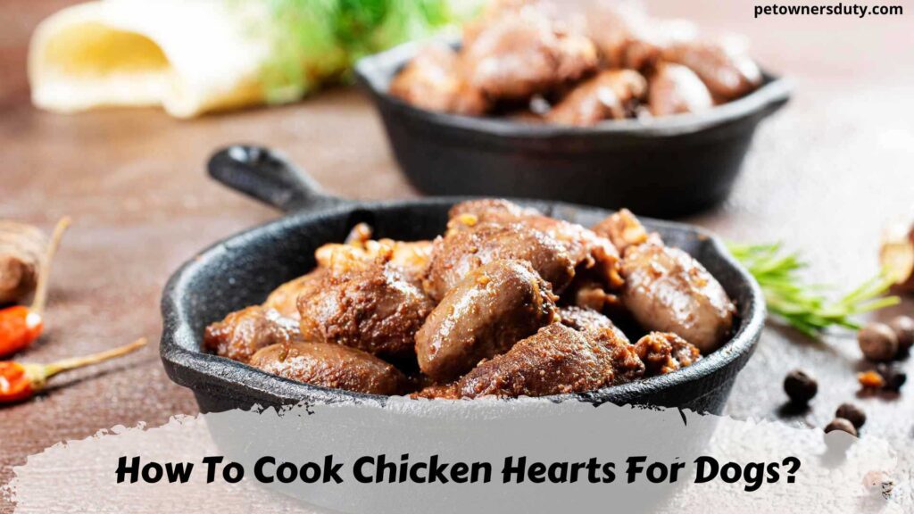 cooking-chicken-hearts-for-dogs-nutritious-and-yummy-treat